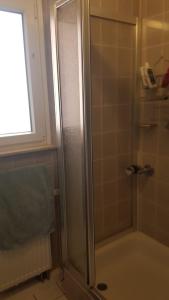 a shower with a glass door in a bathroom at Wohnung am Hauptmarkt! in Nuremberg