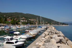a bunch of boats are docked in a harbor at Apartment Sea Garden in Ičići