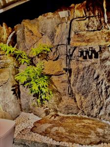 Fotografie z fotogalerie ubytování woodland sanctuary v destinaci Habarana