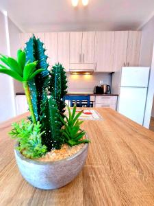 Dapur atau dapur kecil di Sueño Fuerteventura +3 gambar