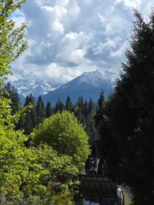 Φυσικό τοπίο κοντά σε αυτός ο ξενώνας