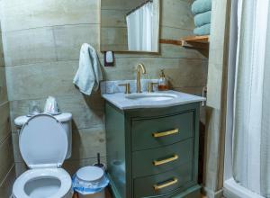 a small bathroom with a toilet and a sink at Secluded Creekside Cabin Hot Tub and Fire Pit in Cosby +12 photos