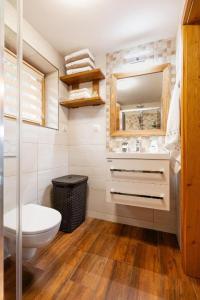 a bathroom with a toilet and a mirror at VILLA Ružiná in Divín +29 photos