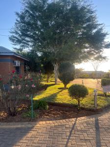 Un jardín con un árbol y un camino de entrada de ladrillos. en Tlou- Sejie Hotel, en Palapye