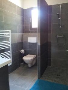 un baño con inodoro y ducha en La CASADOLCE, en Porto Vecchio