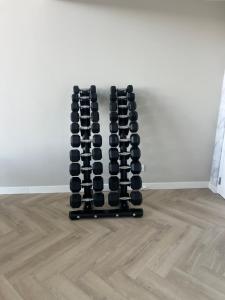 Fitness centrum a/nebo fitness zařízení v ubytování Studio Lakeview