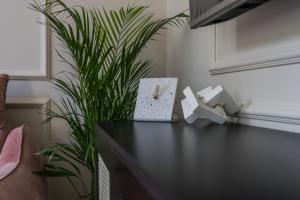 Φωτογραφία από το άλμπουμ του Goldsmiths Apartments στο Γκντανσκ