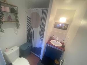 Ένα μπάνιο στο Le nid Nantais studio cosy à Nantes, parc - expo , stade La Beaujoire