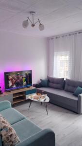 a living room with a blue couch and a tv at Lion in Višegrad +3 photos