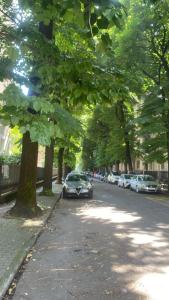 ein Auto, das am Rand einer von Bäumen gesäumten Straße geparkt ist in der Unterkunft Campesio 2 , Zona Clinica Piacenza in Piacenza