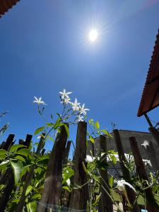 Fotografie z fotogalerie ubytování Jangadas do Toque aconchegante Flat 2 no primeiro andar em Milagres v destinaci São Miguel dos Milagres