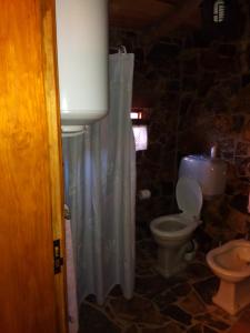 y baño con aseo y cortina de ducha. en Parque Temático Vale de Mouro, en Vale de Mouro