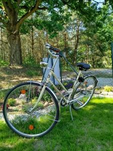 a bike parked in the grass next to a tree at Jeziorna Ostoja in Jodlow