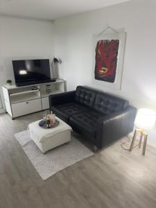 TV a/nebo společenská místnost v ubytování Seeblick-Urlaub am Bodensee