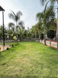 Φωτογραφία από το άλμπουμ του KP Farms σε Alūr