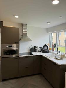 Kuchyň nebo kuchyňský kout v ubytování Ásgarður Apartments + 9 fotografií