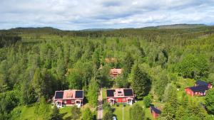 an aerial view of a house in a forest at Skogstjärna in Filipstad