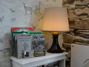 a lamp sitting on top of a table with books at Tŷ Ar Y Tro in Tanygrisiau