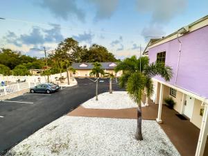 un palmier devant un parking dans l'établissement 1q Bed Studio Apt With Shared Pool 09, à Clearwater