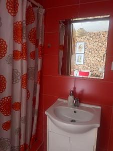 a bathroom with a sink and a mirror at Spokój na Pienińskiej in Krościenko