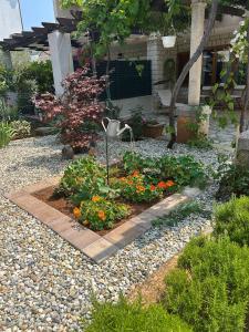 Gallery image of Apartments Come&Stay in Punat