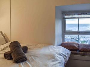 Fotografie z fotogalerie ubytování Bwth Carron v destinaci Barmouth