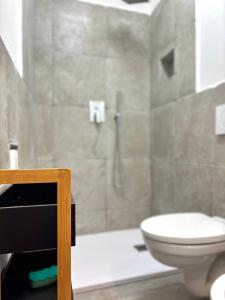 une salle de bain avec une douche avec des toilettes et un lavabo dans l'établissement Free Parking - La Corte House 53, à Castel di Sangro 5 autres photos
