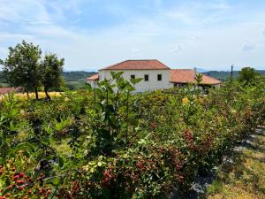 a house in the middle of a field of cherries at Casa Mato in Monforte de Lemos