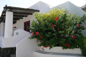 a flower pot on the side of a building with red flowers at La Sirenetta Park Hotel in Stromboli