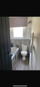 a bathroom with a toilet and a tub and a sink at Edinburgh 2 bedroom ground floor apartment in Edinburgh