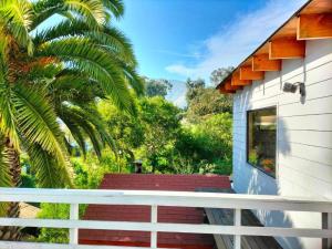 a house with a porch with a palm tree at Hospedaje "EL colorado" in Zapallar