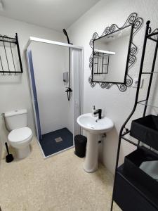 a bathroom with a toilet and a sink and a mirror at El Corazón de Gredos II in Arenas de San Pedro