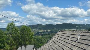 een vogel op een dak bij Domek w Limanowej in Limanowa +5 foto's
