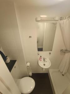 a small bathroom with a toilet and a sink at Perth Youth Hostel and Apartments in Perth