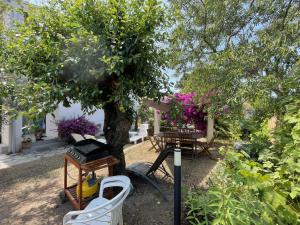 Ogród w obiekcie Villa Jeannette