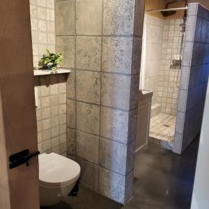 a bathroom with a toilet and a shower at 't Koenenhoesie in Diever +16 photos