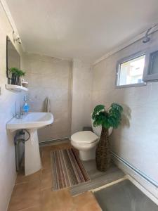 bagno con servizi igienici, lavandino e pianta di Ehden's Skyline a Ehden 1 altra foto