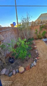 a garden with a fence and some plants at Dahab house home in Dahab