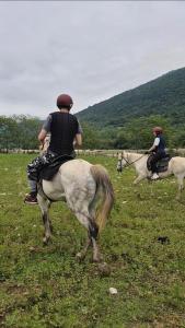 two people riding on horses in a field at Tuta Cottage near Martvili Canyon in Martvili