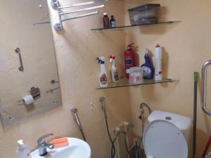 een badkamer met een toilet, een wastafel en planken bij Villa Mukhrovani in Mukhrovani +36 foto's