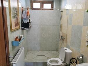 a bathroom with a toilet and a shower at Nelis Guesthouse in Stantsiya Gurdzhaani