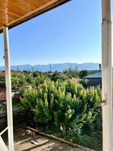 a view of a tree from the porch of a house at Nelis Guesthouse in Stantsiya Gurdzhaani +4 photos