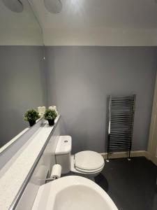 a bathroom with a white toilet and a sink at Edinburgh Centre - George Square Residence in Edinburgh +14 photos