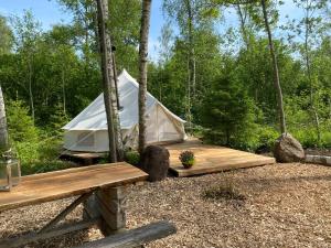 Off-grid forest glamping的树林里有一座带木质甲板的白色帐篷