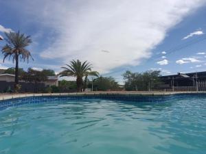 a large pool of water with palm trees in the background at Sapphire Studio Self Catering At 54 in Windhoek