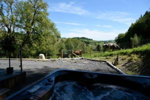 a hot tub with horses in a field at Kites Nest-Qu7488 in Highgate