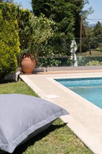 The swimming pool at or close to Eden apartments Paliouri- Concordia apartment