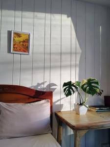 Fotografie z fotogalerie ubytování Casa Atajo hostal v destinaci Armenia