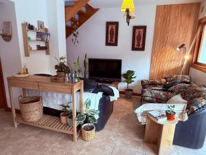 圣马丁德洛斯Duplex en el centro del pueblo con balcón terraza Ñire13的客厅里有一张沙发和一台电视