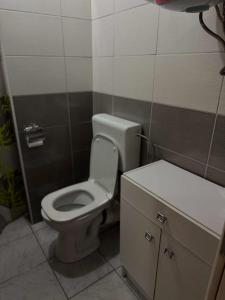 a bathroom with a white toilet and a sink at Apartment Dil in Kulen Vakuf +69 photos